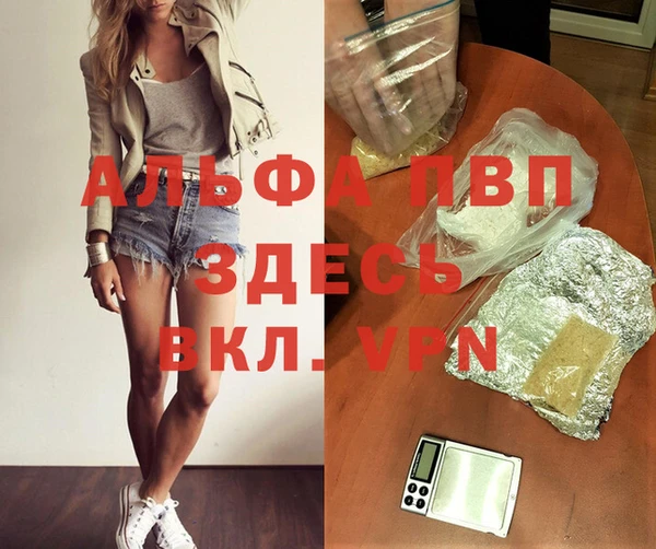 PSILOCYBIN Белоозёрский