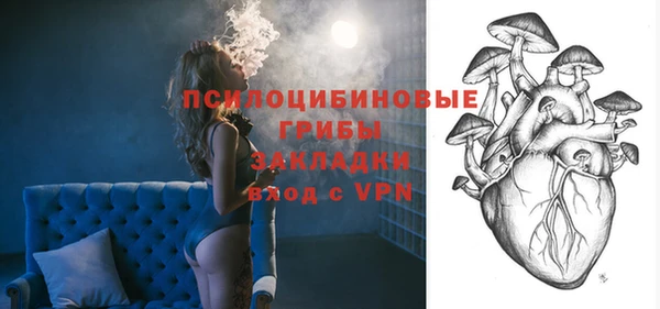 PSILOCYBIN Белоозёрский