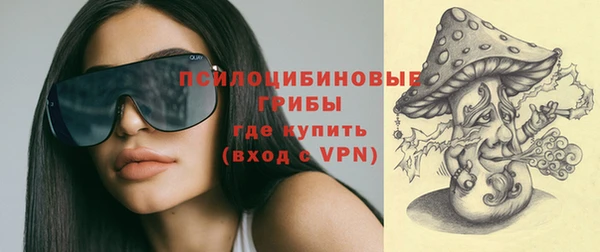 PSILOCYBIN Белоозёрский