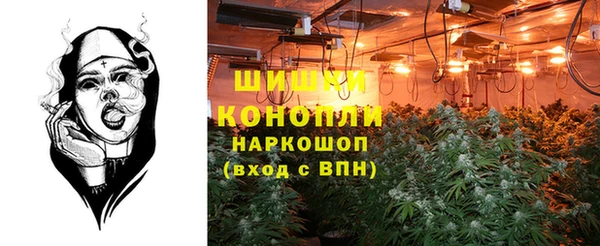 спайс Белокуриха